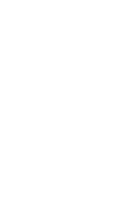 ダイナステージ株式会社